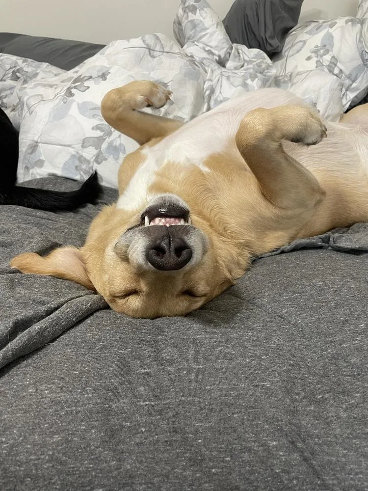 Danny Nash thumbnail 2