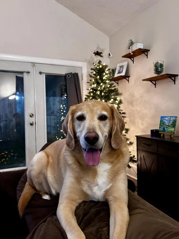 Danny Nash thumbnail 3