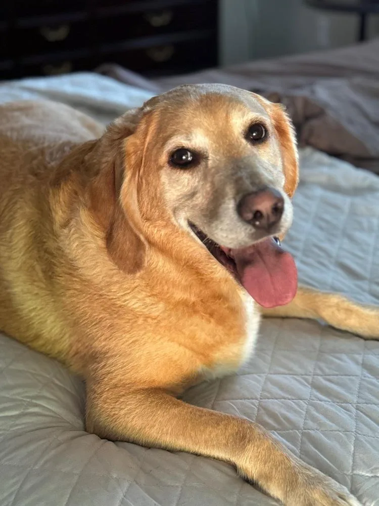 Danny Nash thumbnail 4