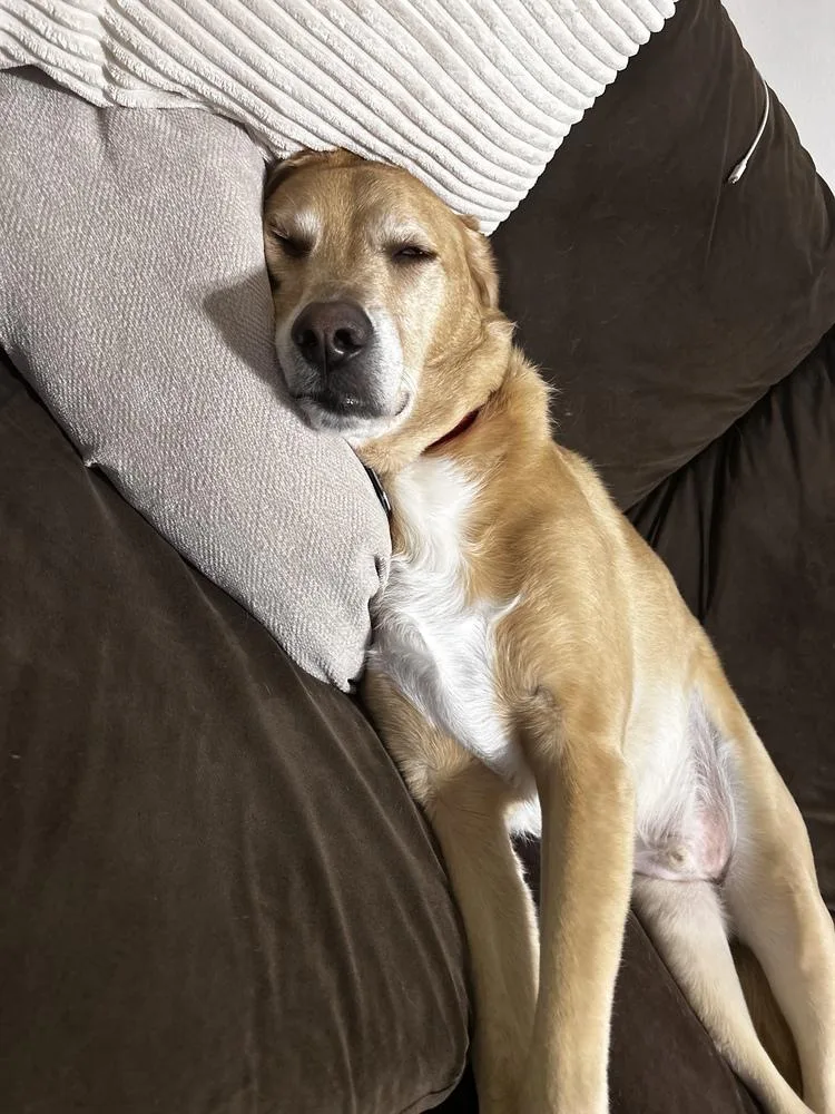 Danny Nash thumbnail 5