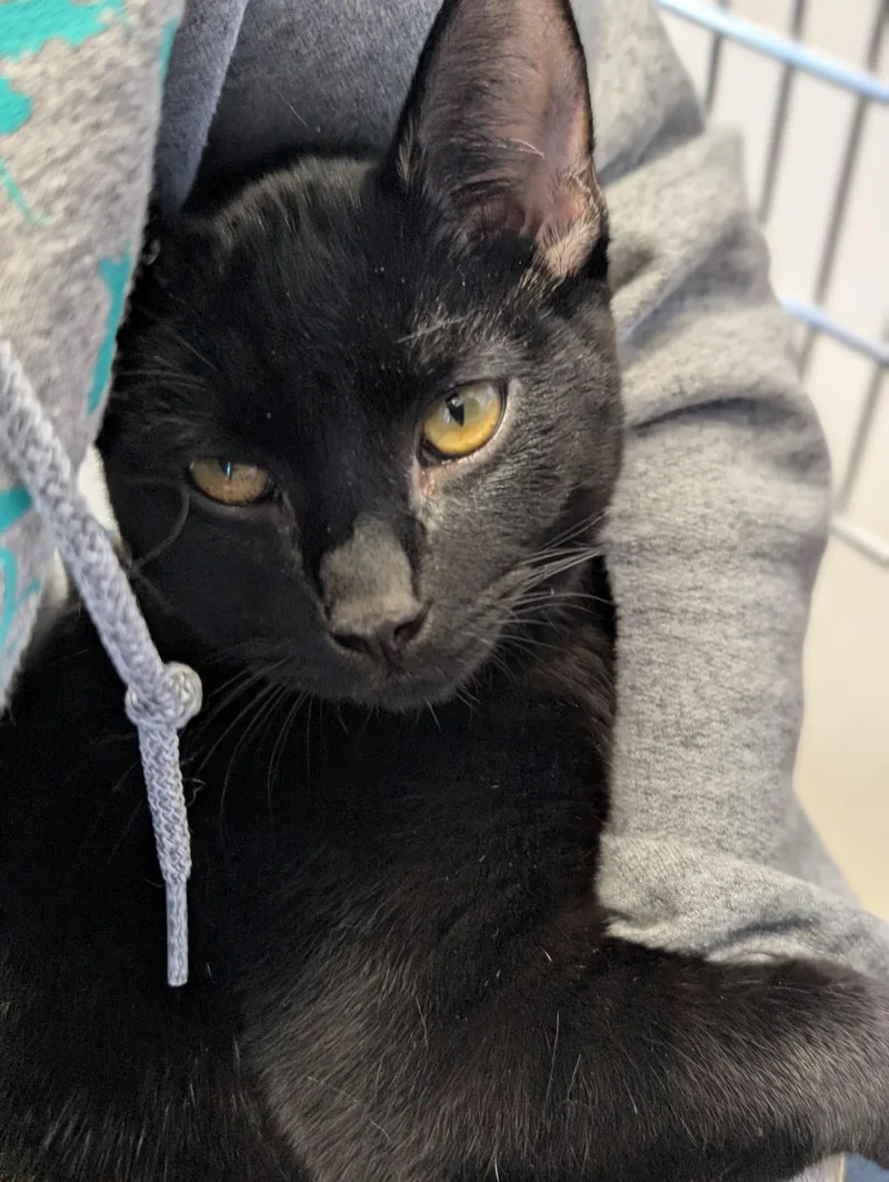 Darkness thumbnail 3