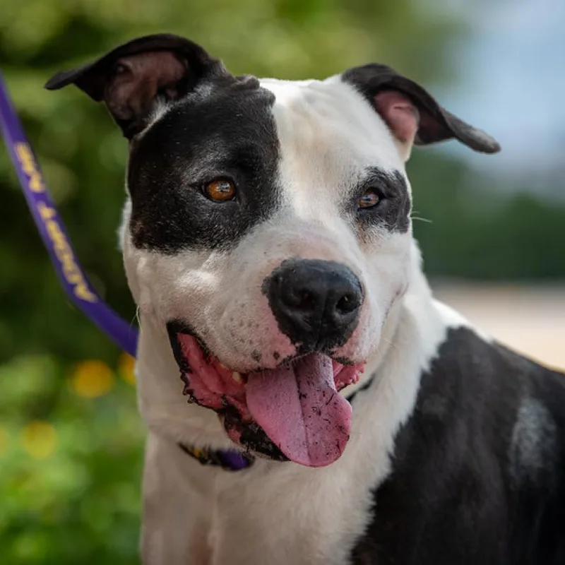 Ferdinand Jum thumbnail 4