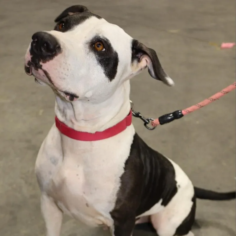 Ferdinand Jum thumbnail 5