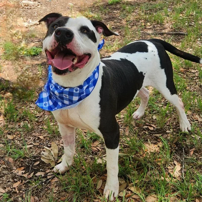 Ferdinand Jum thumbnail 6