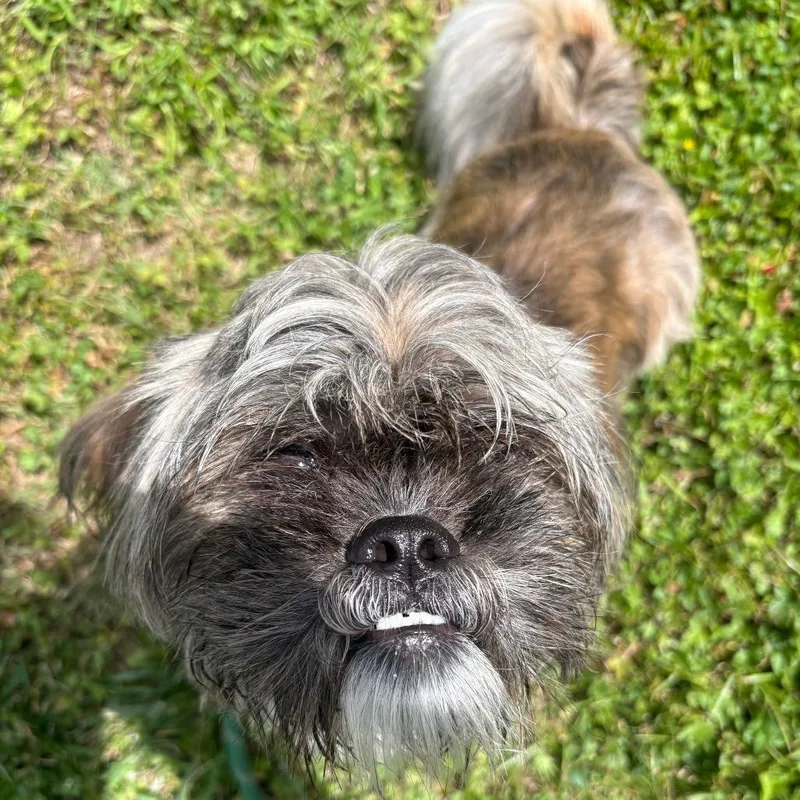 Kobi Aka Scarlo