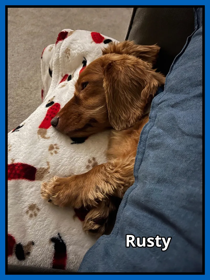 Rusty thumbnail 5