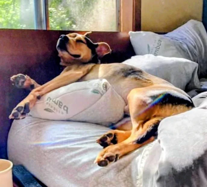 River Your Sweet Snuggle