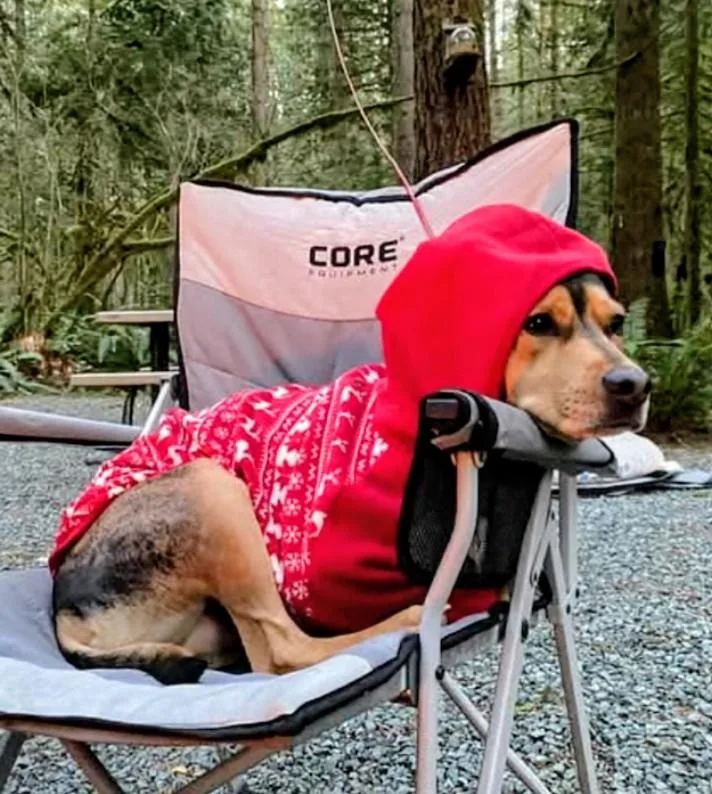 River Your Sweet Snuggle thumbnail 3