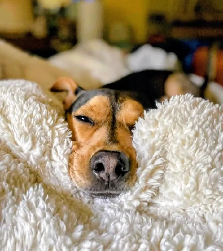 River Your Sweet Snuggle thumbnail 4