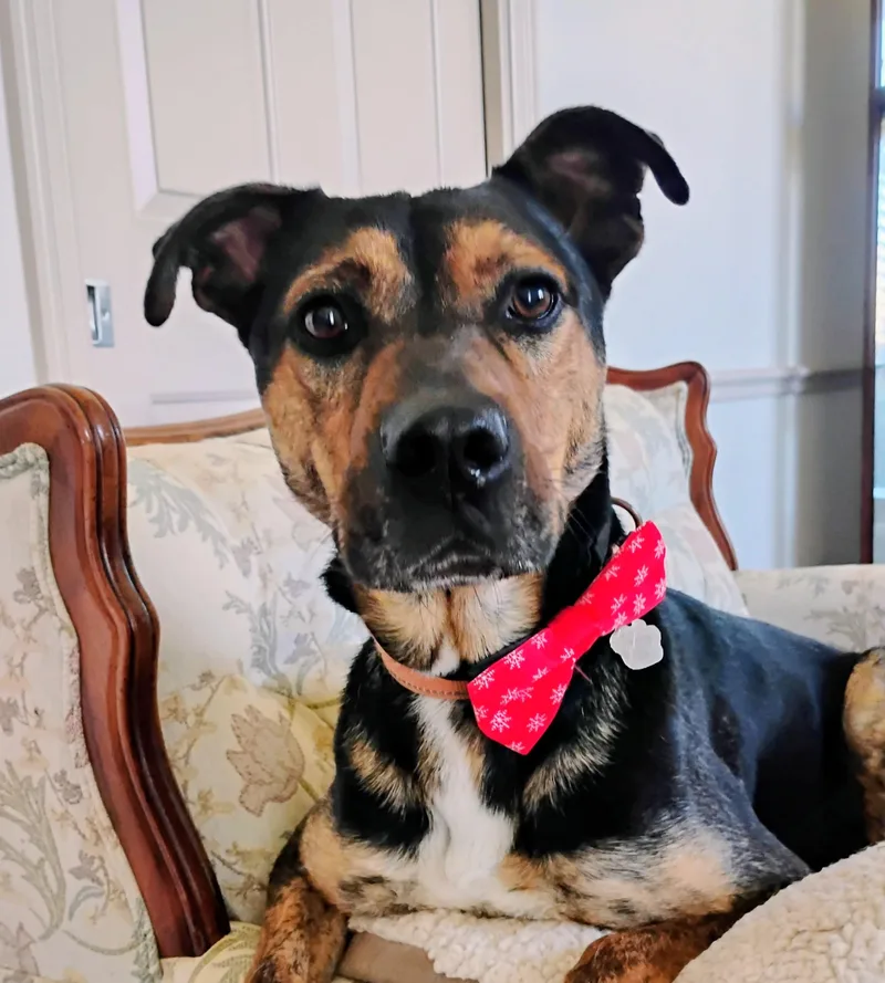 River Your Sweet Snuggle thumbnail 6