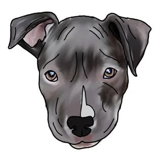 Kevin thumbnail 2
