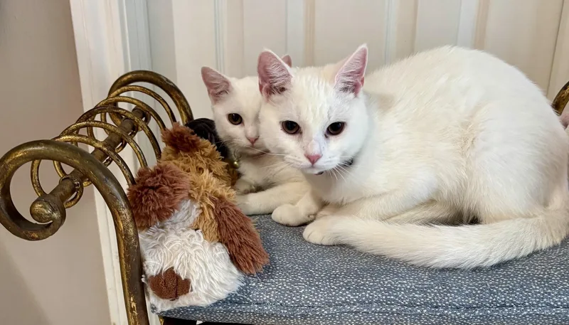 Sammy & Suzette  thumbnail 5