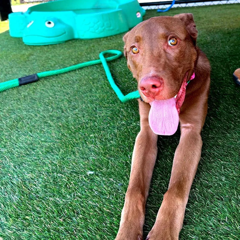 Rhonda thumbnail 3