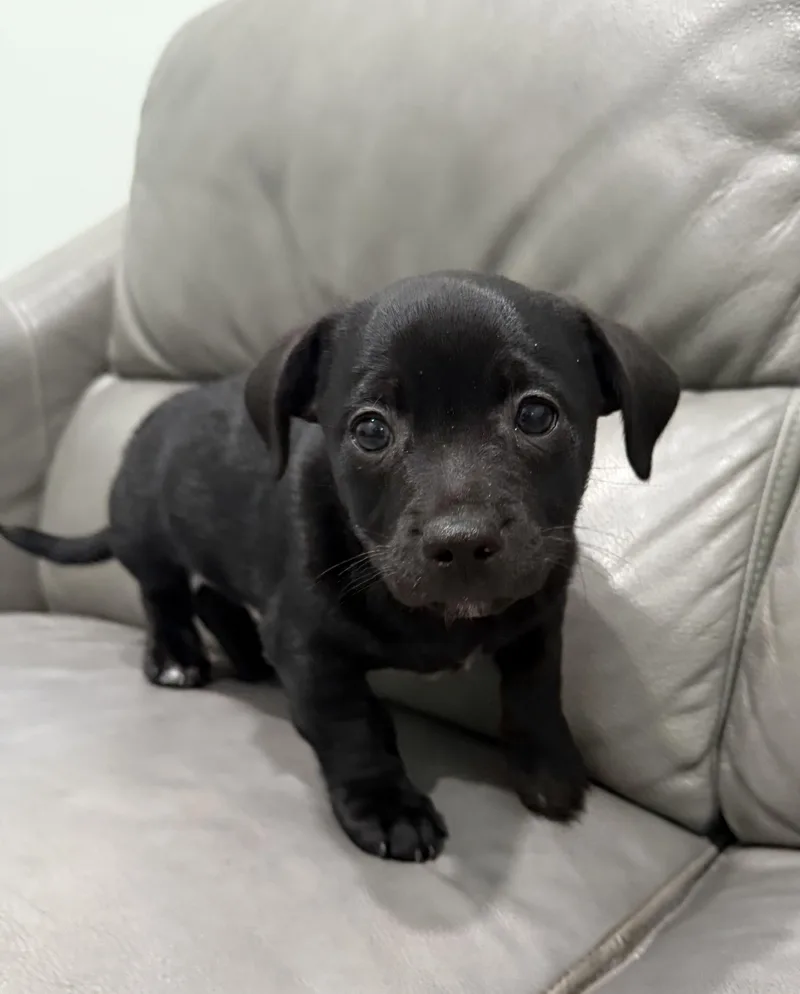 Ernie