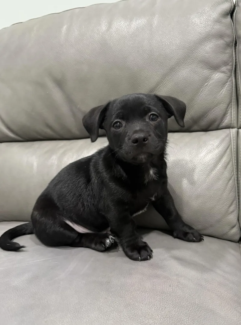 Ernie thumbnail 2