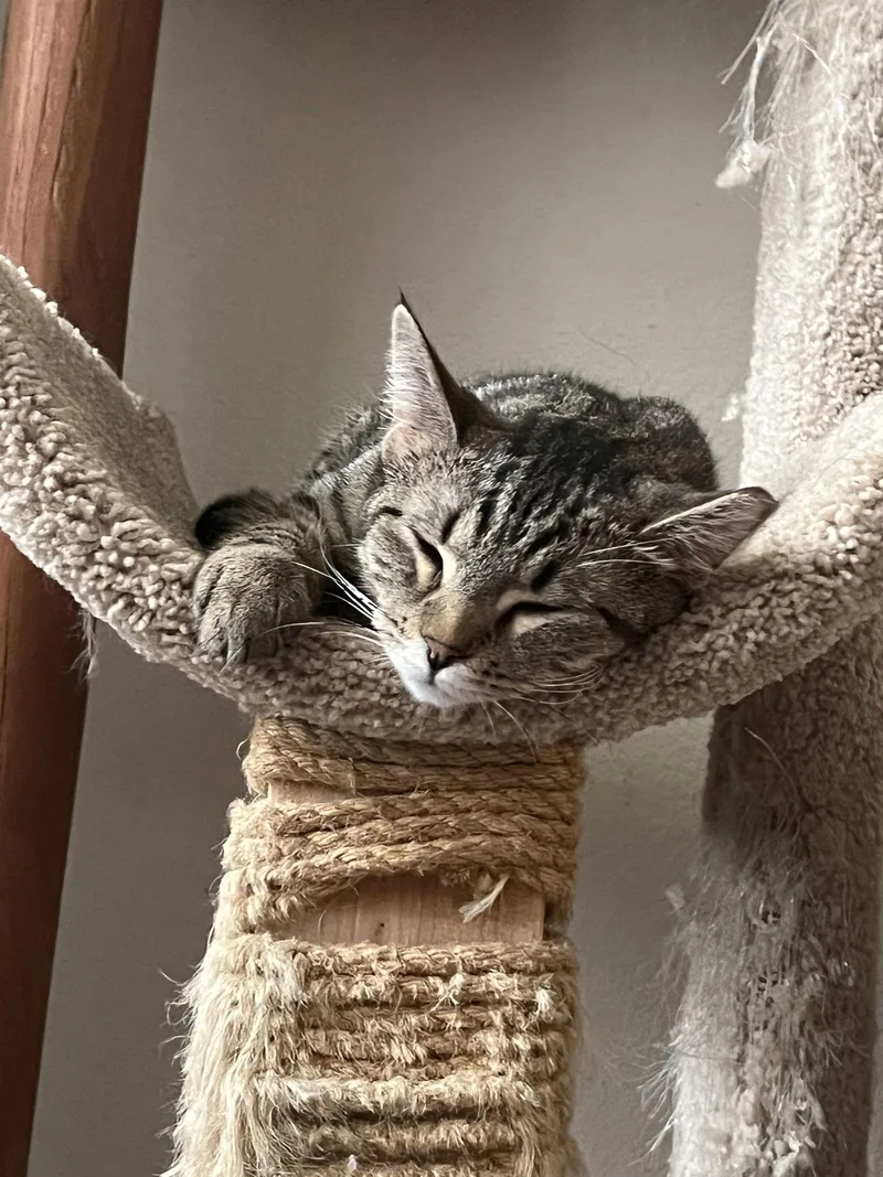 Squirmy Wormy thumbnail 2