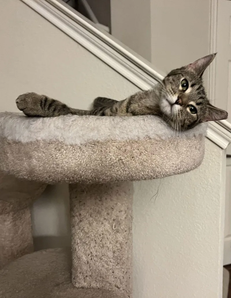 Squirmy Wormy thumbnail 3