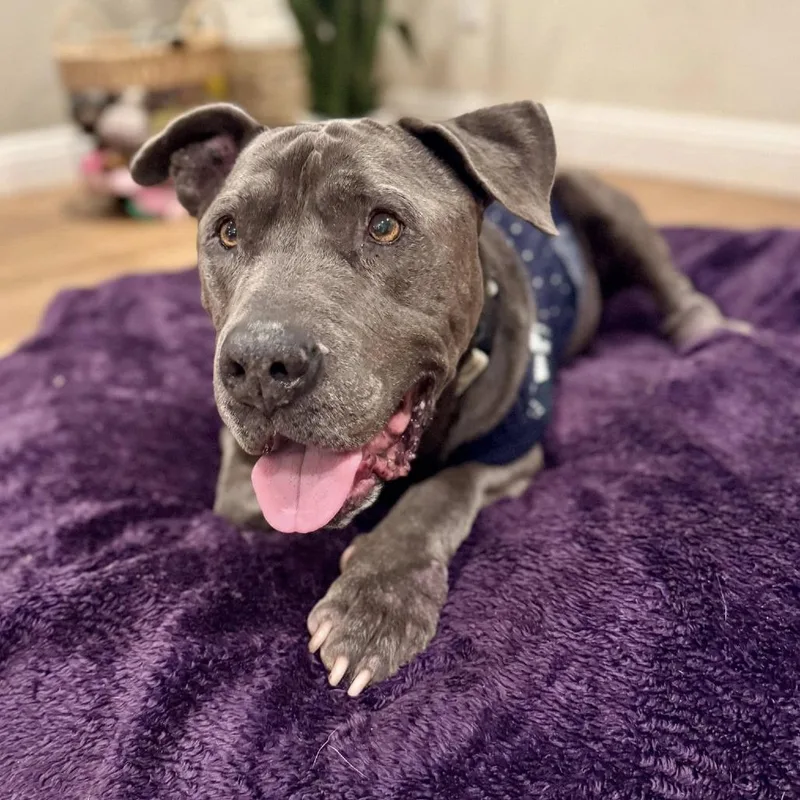 Rockefeller thumbnail 2