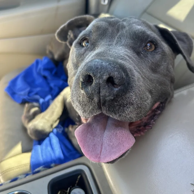 Rockefeller thumbnail 3