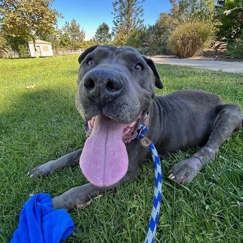 Rockefeller thumbnail 4