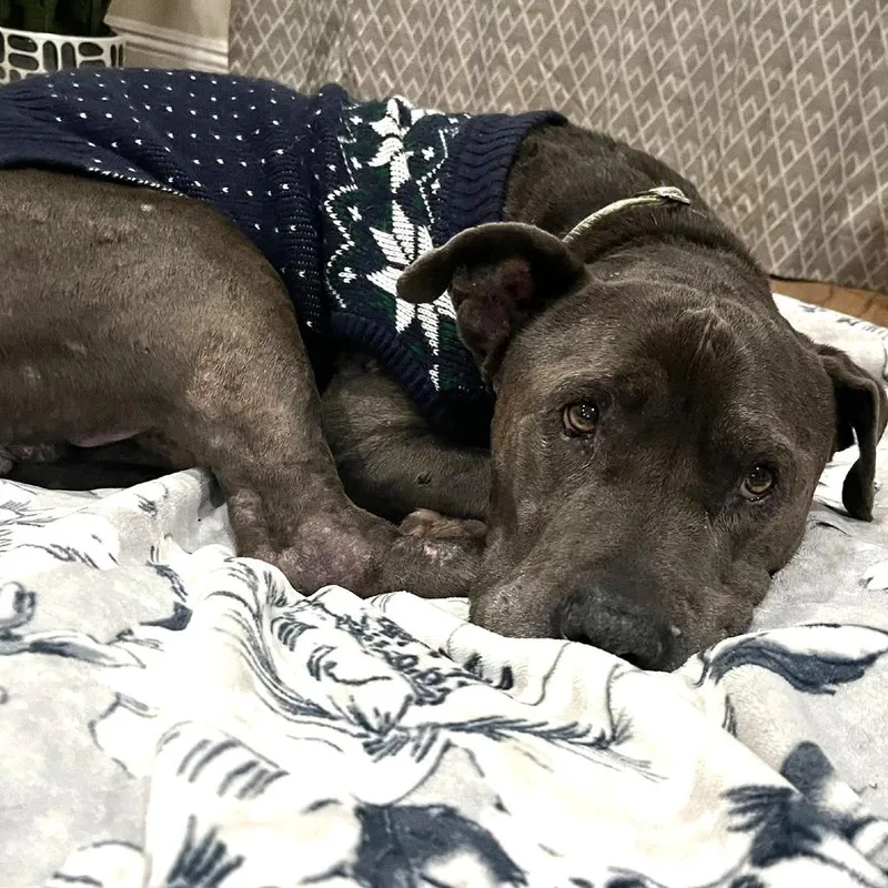 Rockefeller thumbnail 5