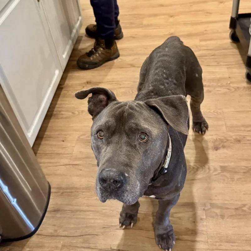 Rockefeller thumbnail 6