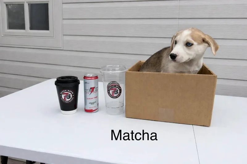Matcha thumbnail 2