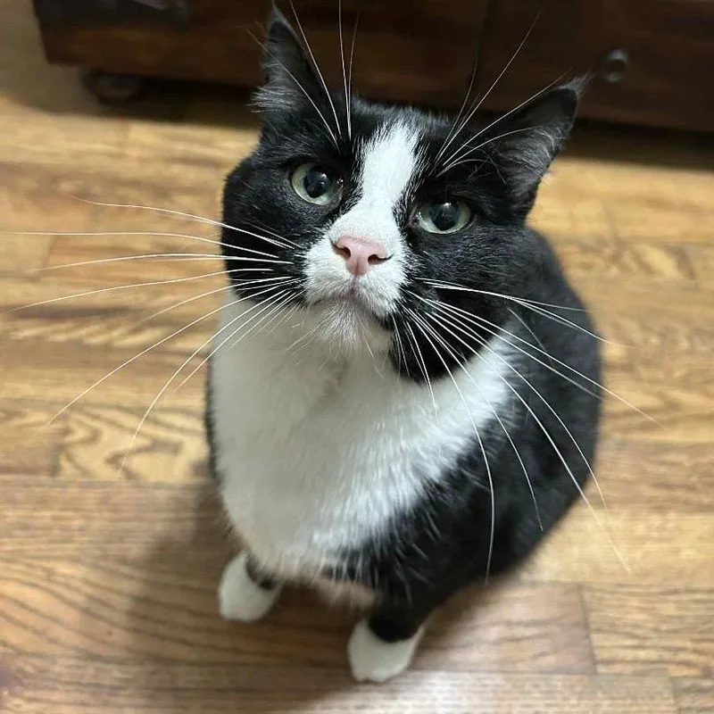 Charlotte thumbnail 2