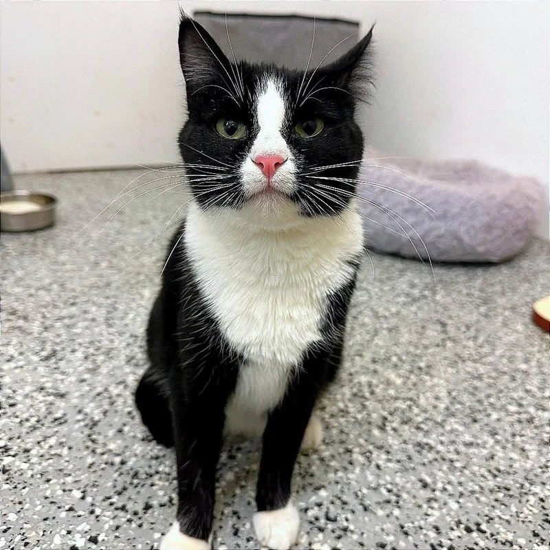 Charlotte thumbnail 3