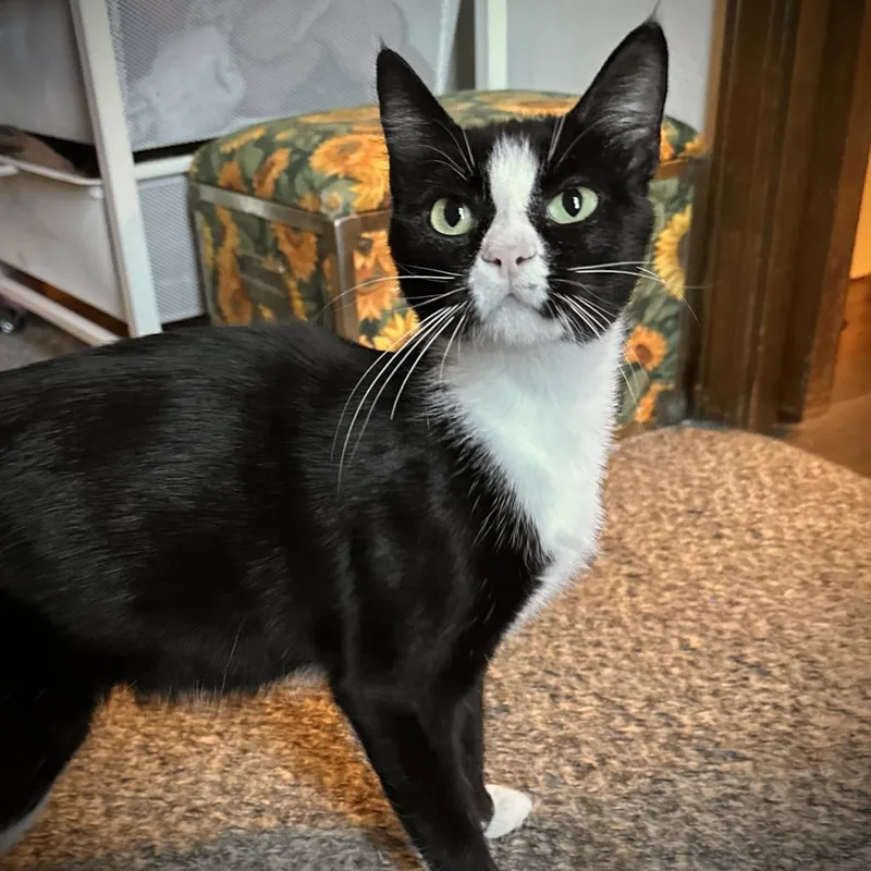 Charlotte thumbnail 4