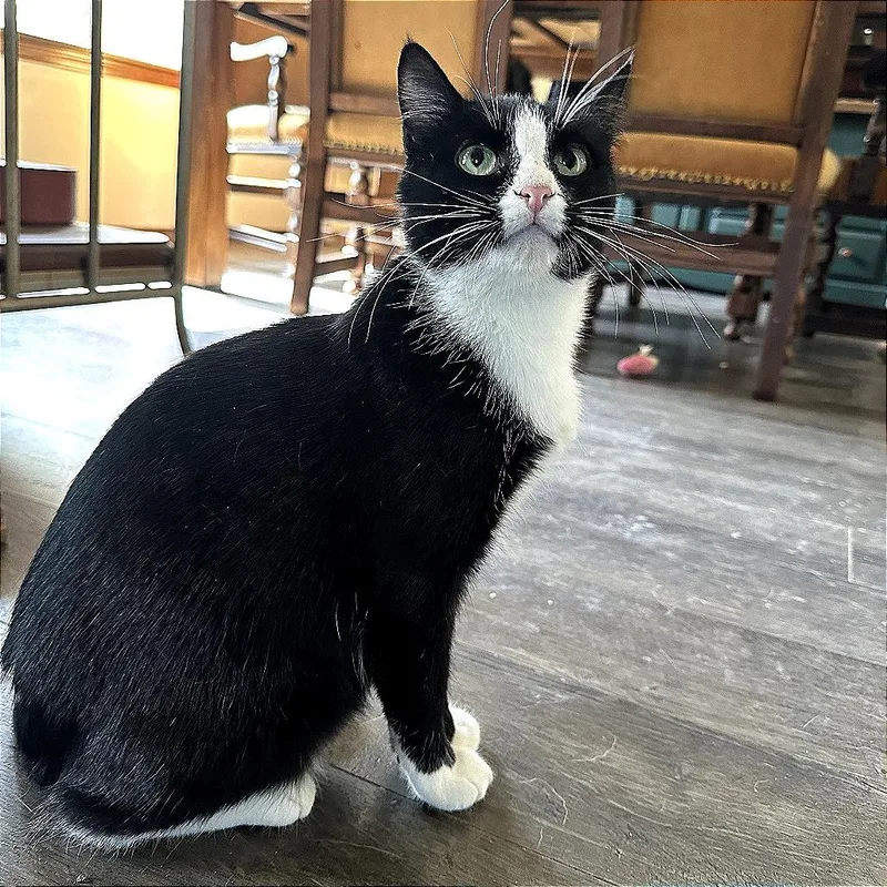 Charlotte thumbnail 6