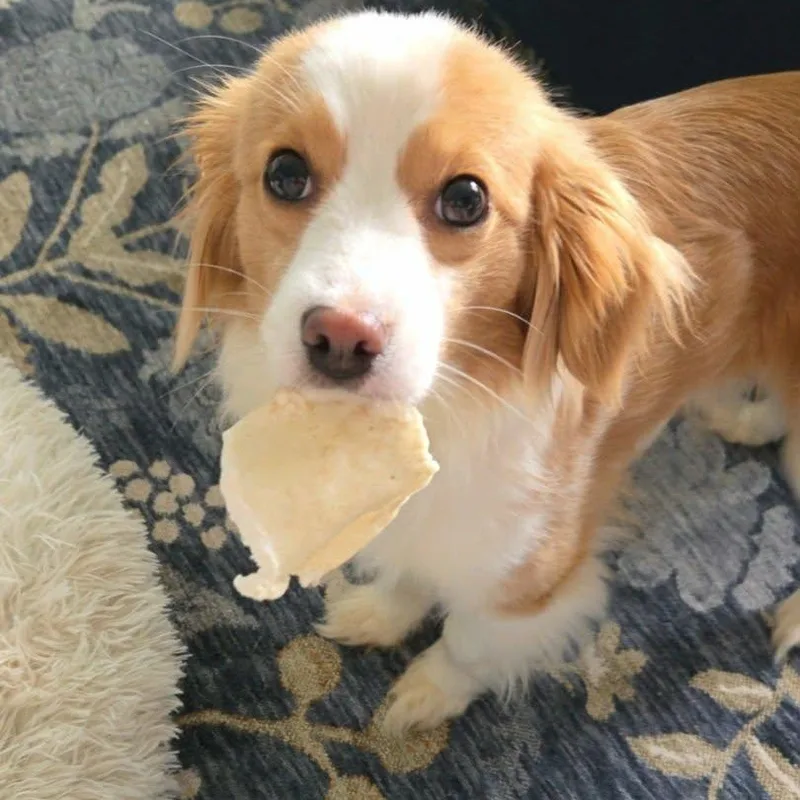 Tiki  Taking Applications thumbnail 2