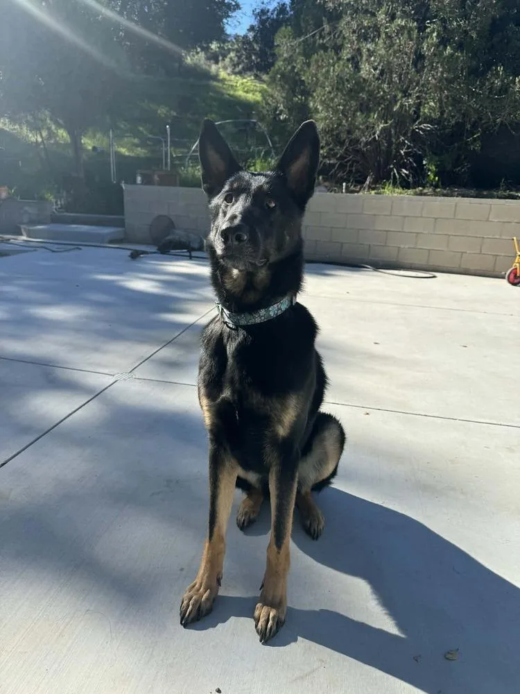 Kingston thumbnail 2