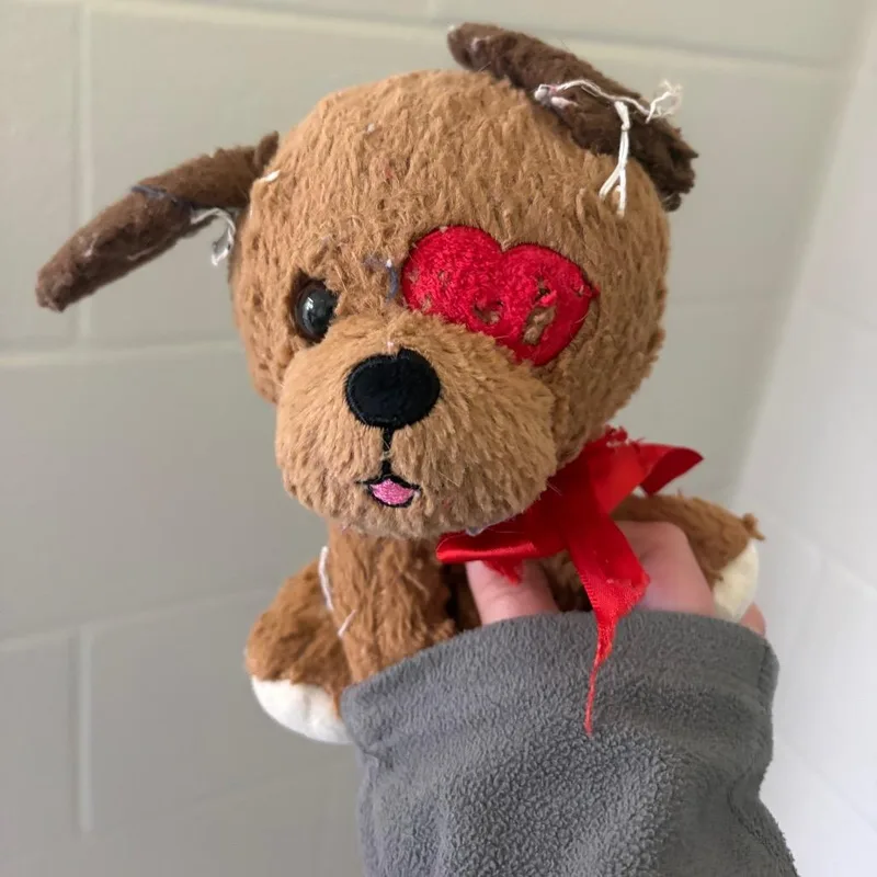 A young small-sized male Gray / Blue / Silver Australian Cattle Dog / Blue Heeler dog named Spider   Test for adoption in Morganton, NC