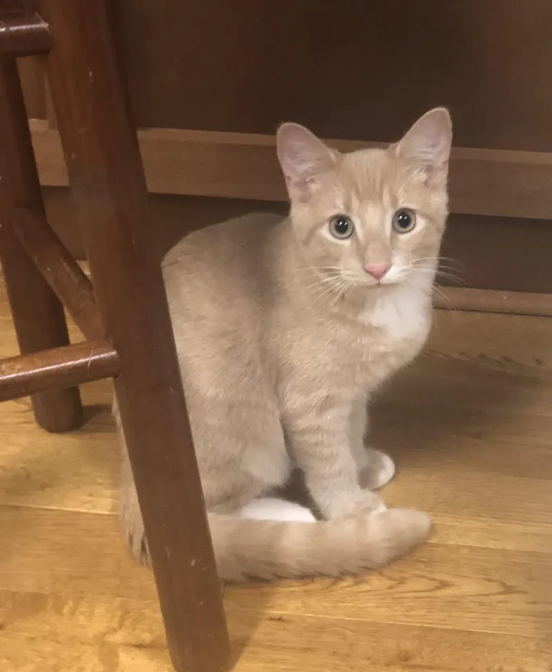 Mayberry thumbnail 4