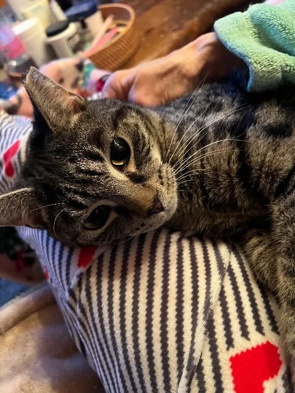 Sebastian thumbnail 2