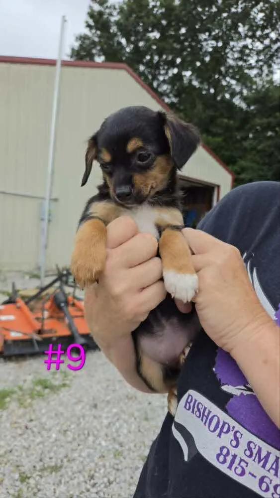 Georgia thumbnail 3