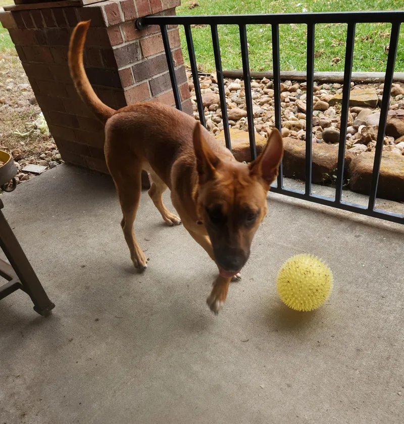 Kai Breeze Oceana thumbnail 3