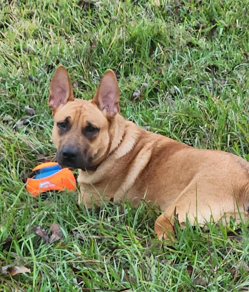 Kai Breeze Oceana thumbnail 4