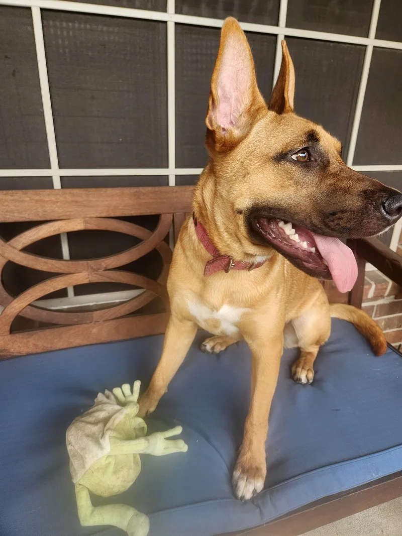 Kai Breeze Oceana thumbnail 5