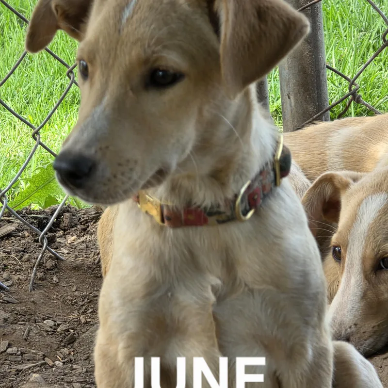 June thumbnail 2