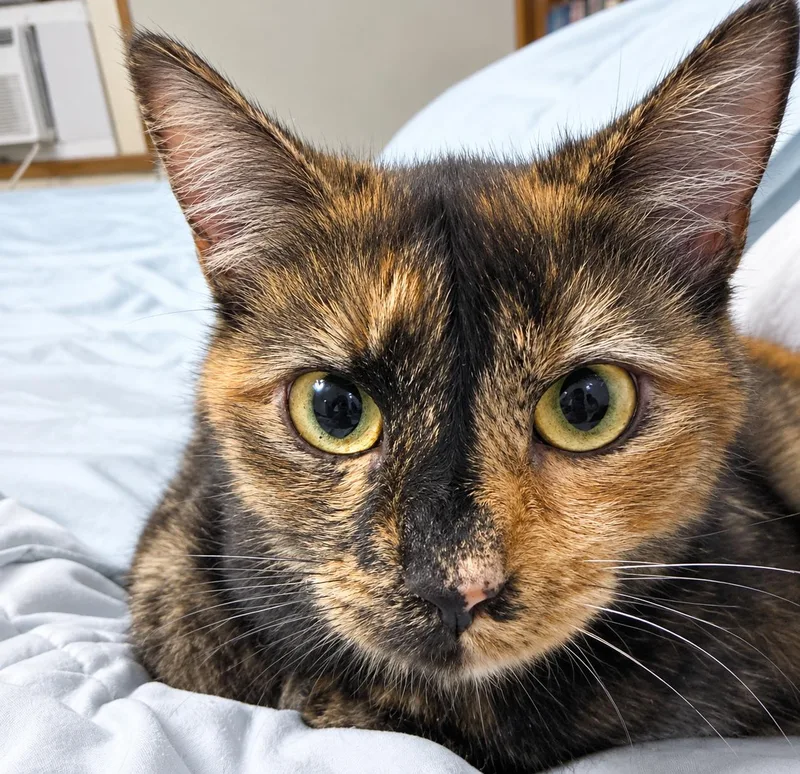 Delilah thumbnail 3