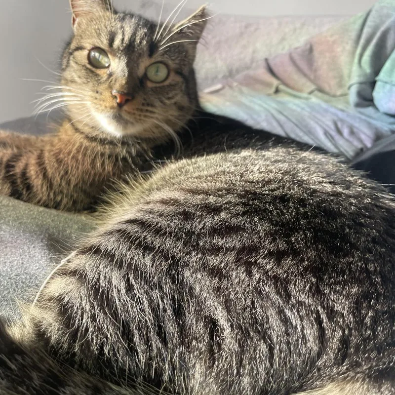 Millie B thumbnail 3