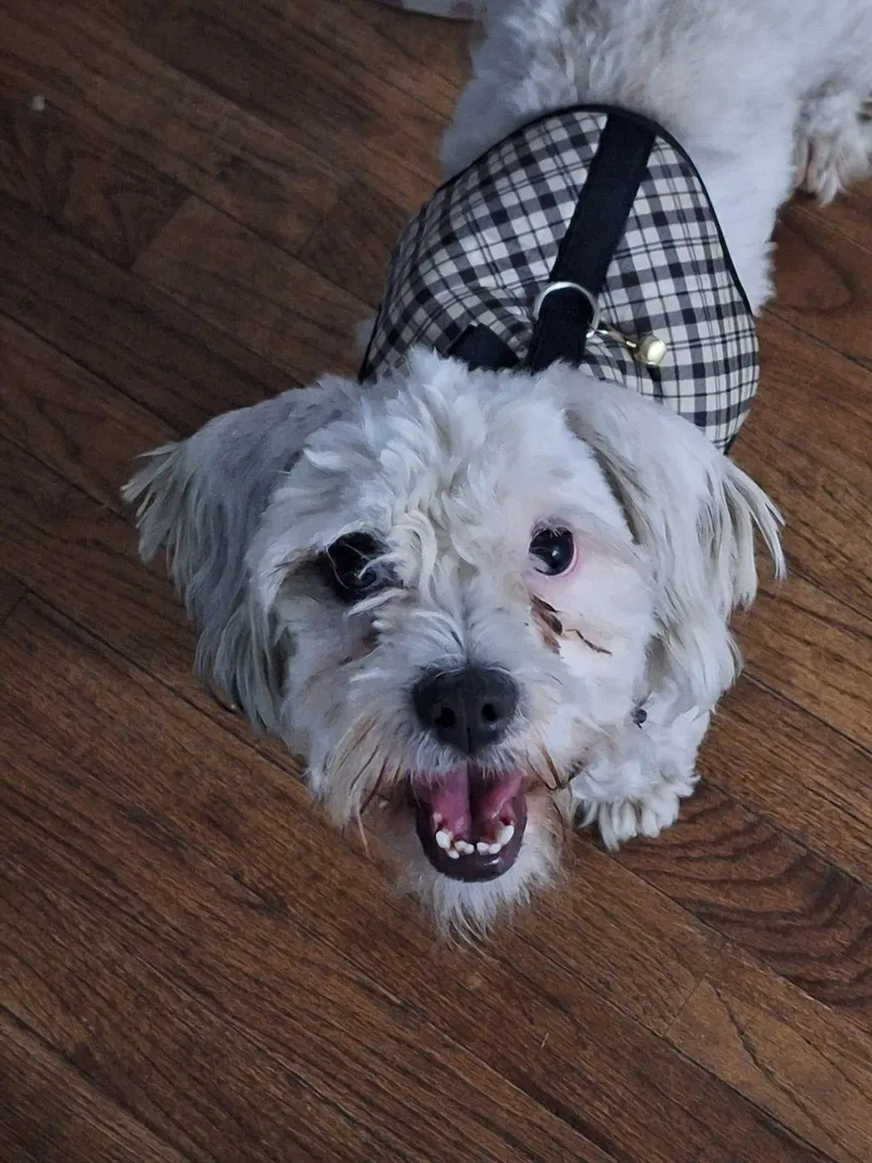 Monte Scarlatto thumbnail 4