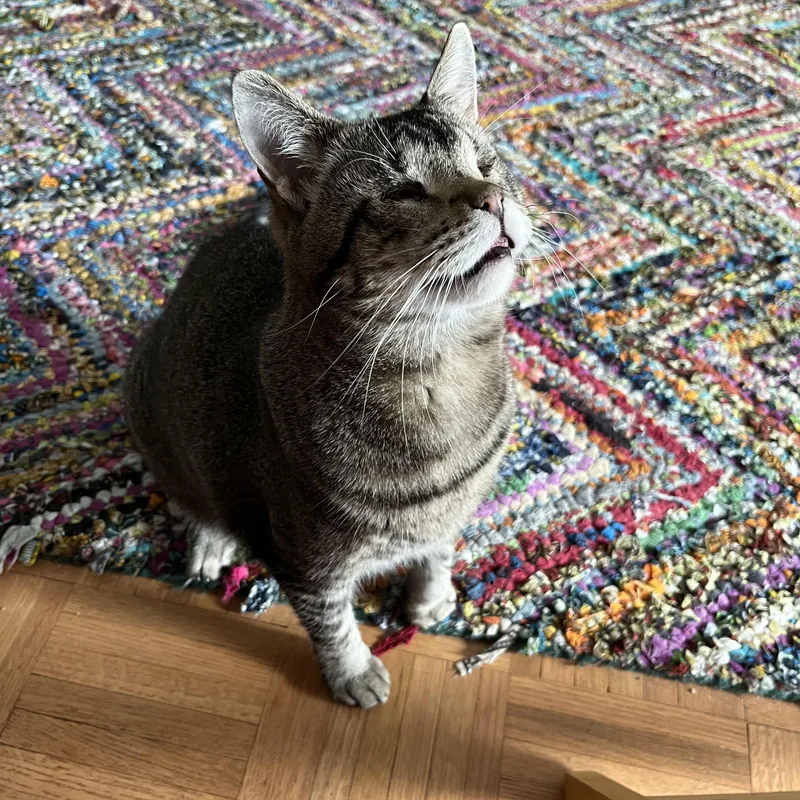 Geordi Laforge – Sweet thumbnail 2