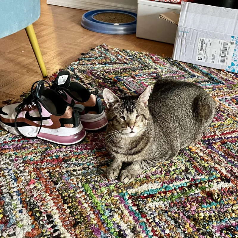 Geordi Laforge – Sweet thumbnail 5