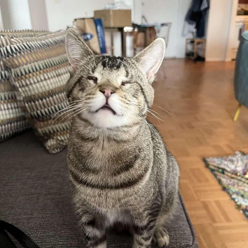 Geordi Laforge – Sweet thumbnail 6