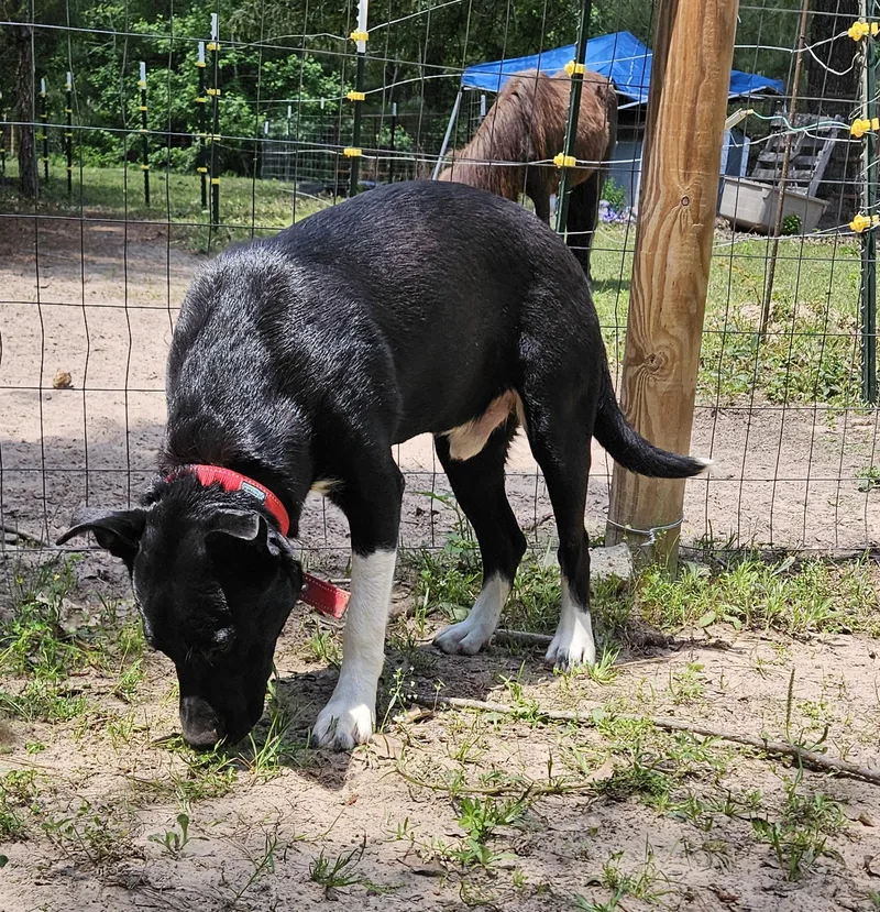 Paxton  Nj thumbnail 2