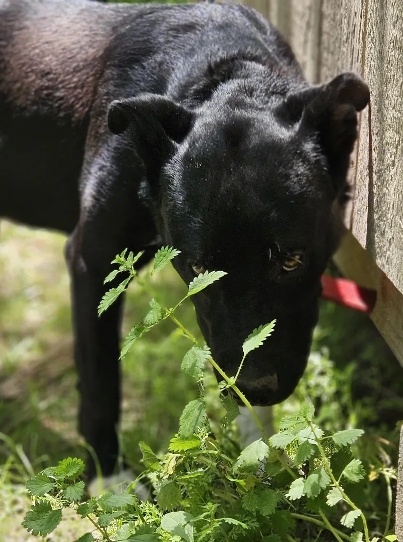 Paxton  Nj thumbnail 5