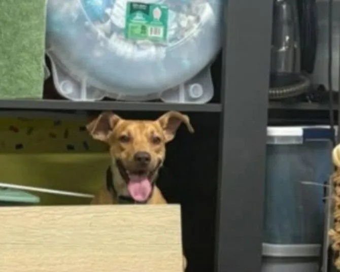 Tucker thumbnail 3